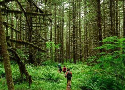 نکات تازه برای تازه کارهای سفر ؛ این قسمت طبیعت گردی نکات تازه برای تازه کارهای سفر ؛ این قسمت طبیعت گردی